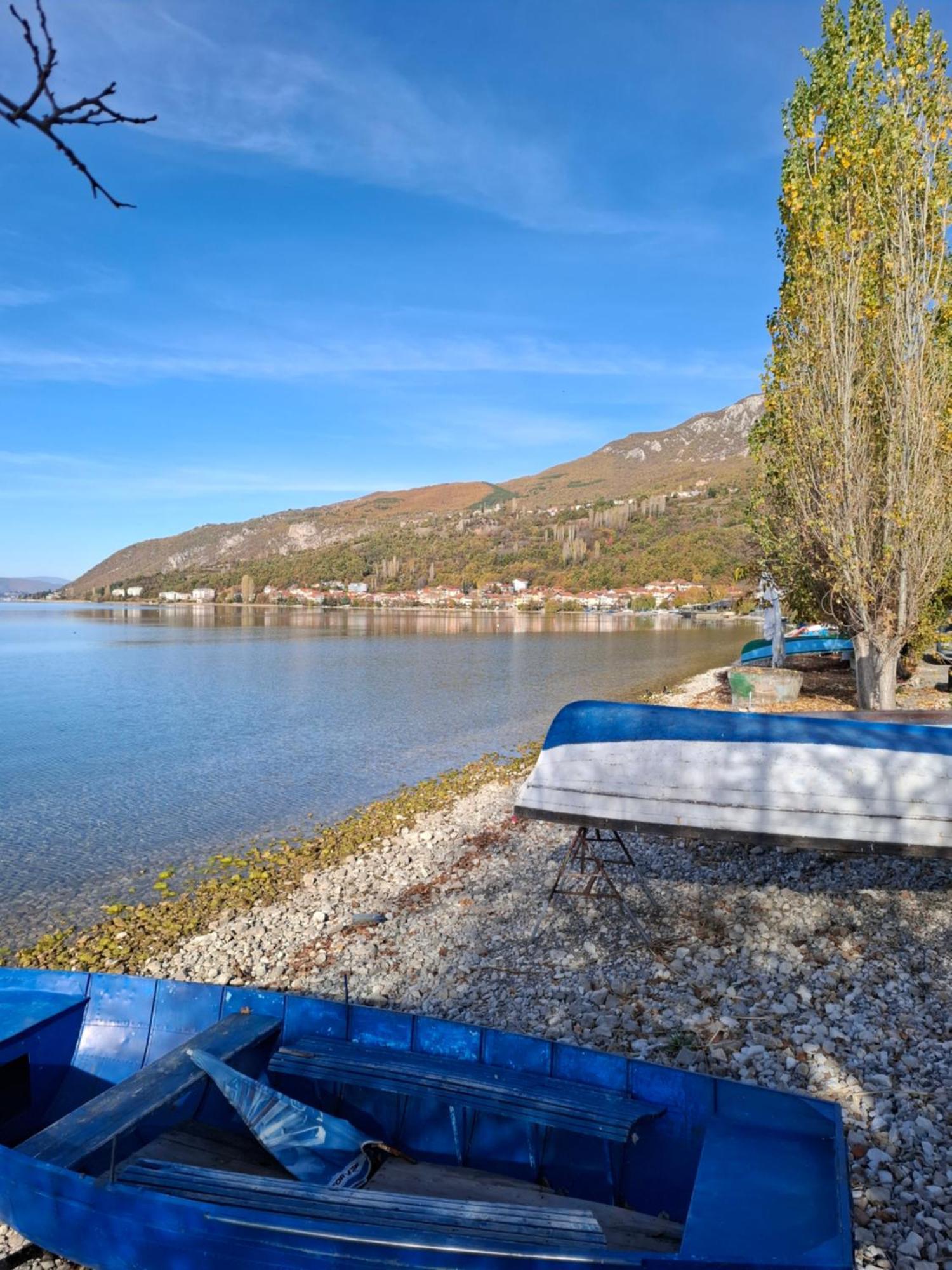 Apartments Villa Boris Ohrid Ruang foto