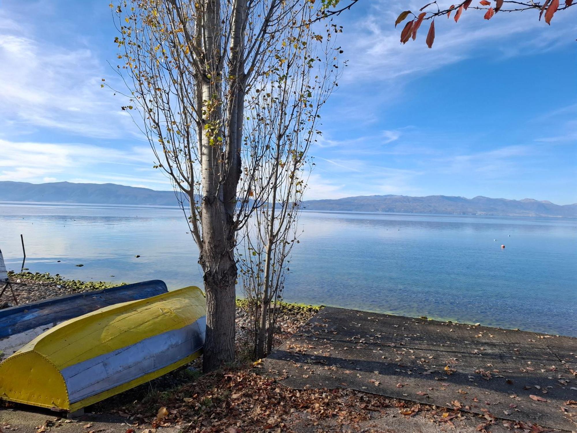 Apartments Villa Boris Ohrid Bagian luar foto