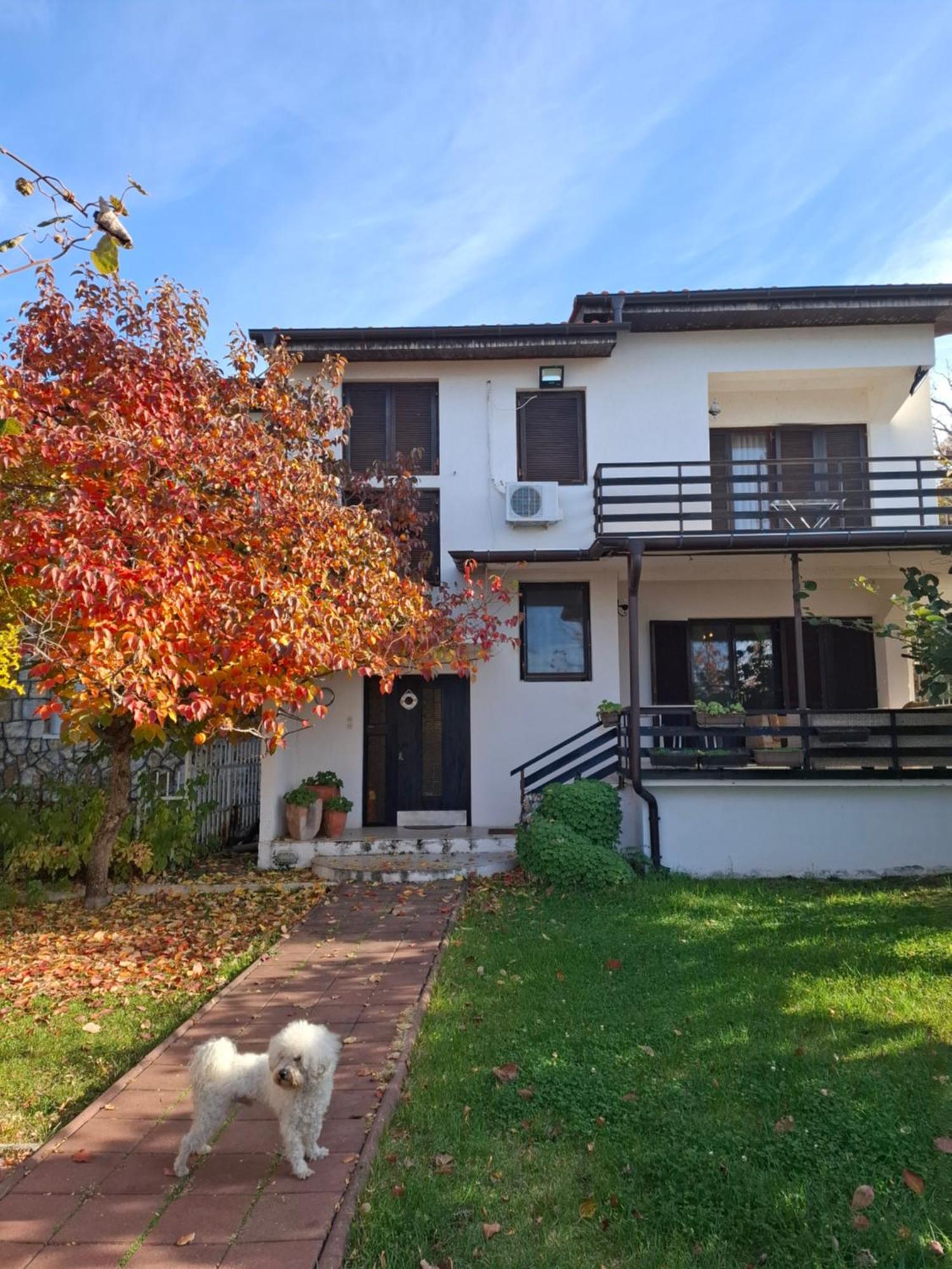 Apartments Villa Boris Ohrid Ruang foto