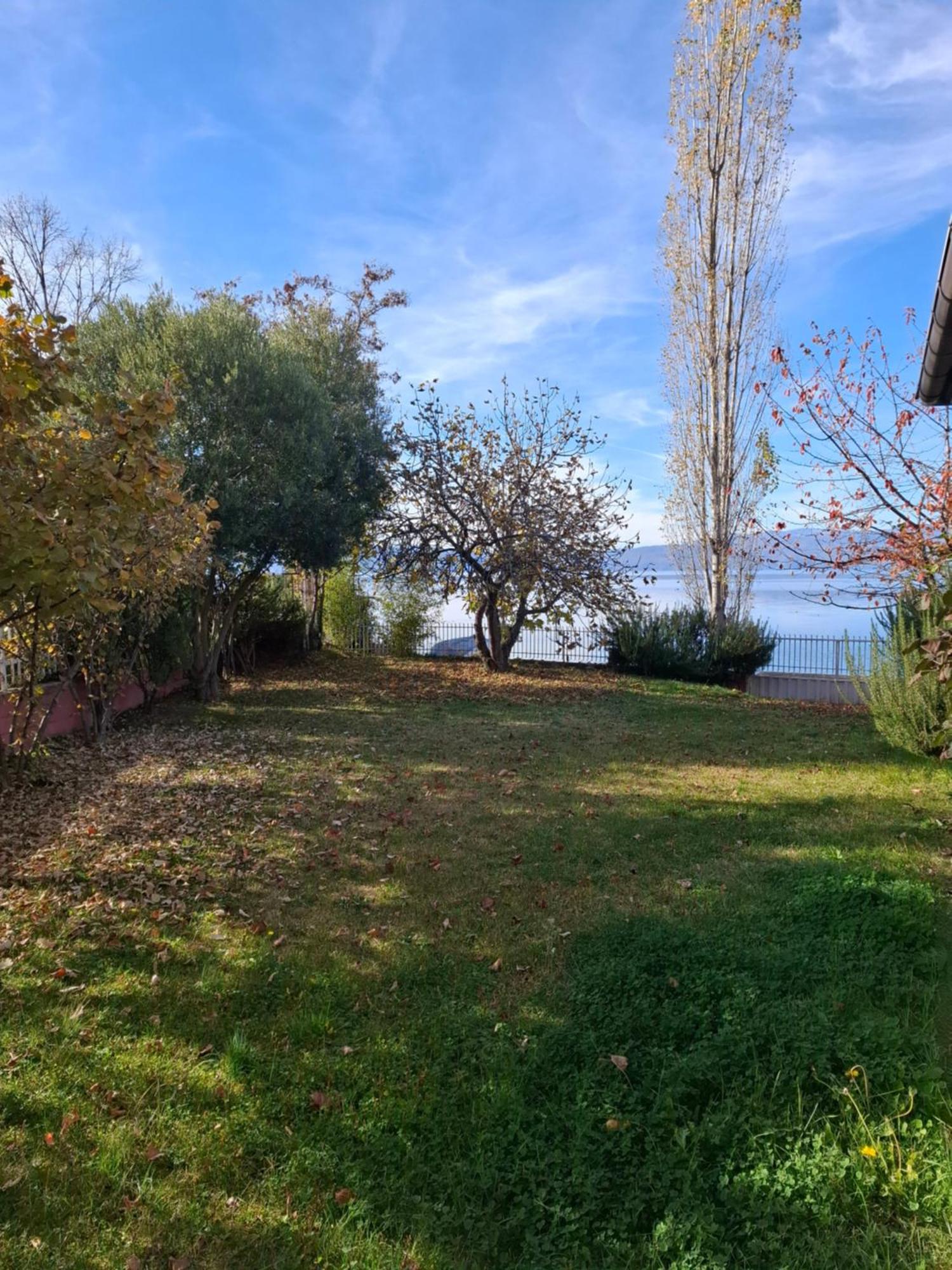 Apartments Villa Boris Ohrid Bagian luar foto