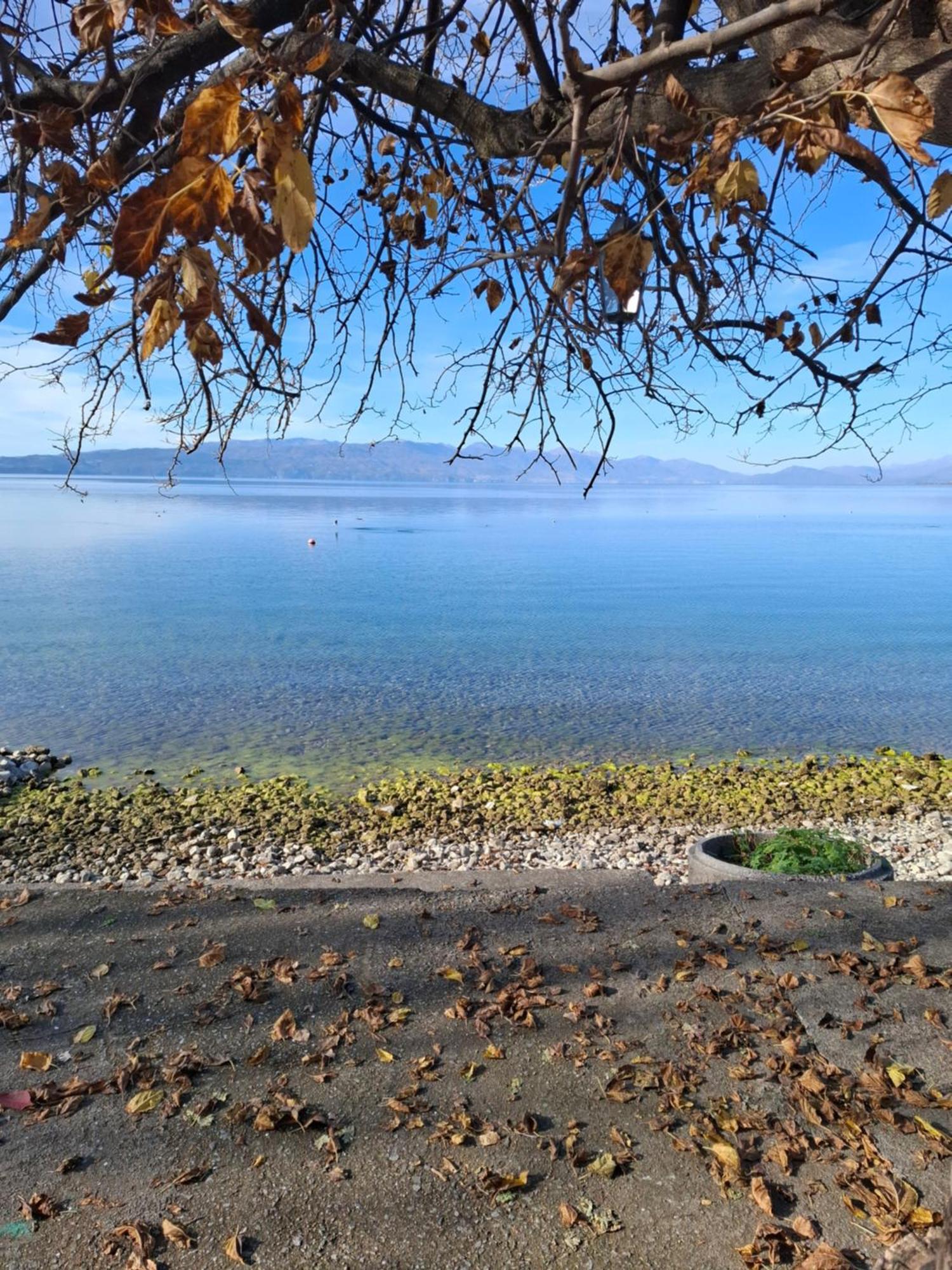 Apartments Villa Boris Ohrid Bagian luar foto