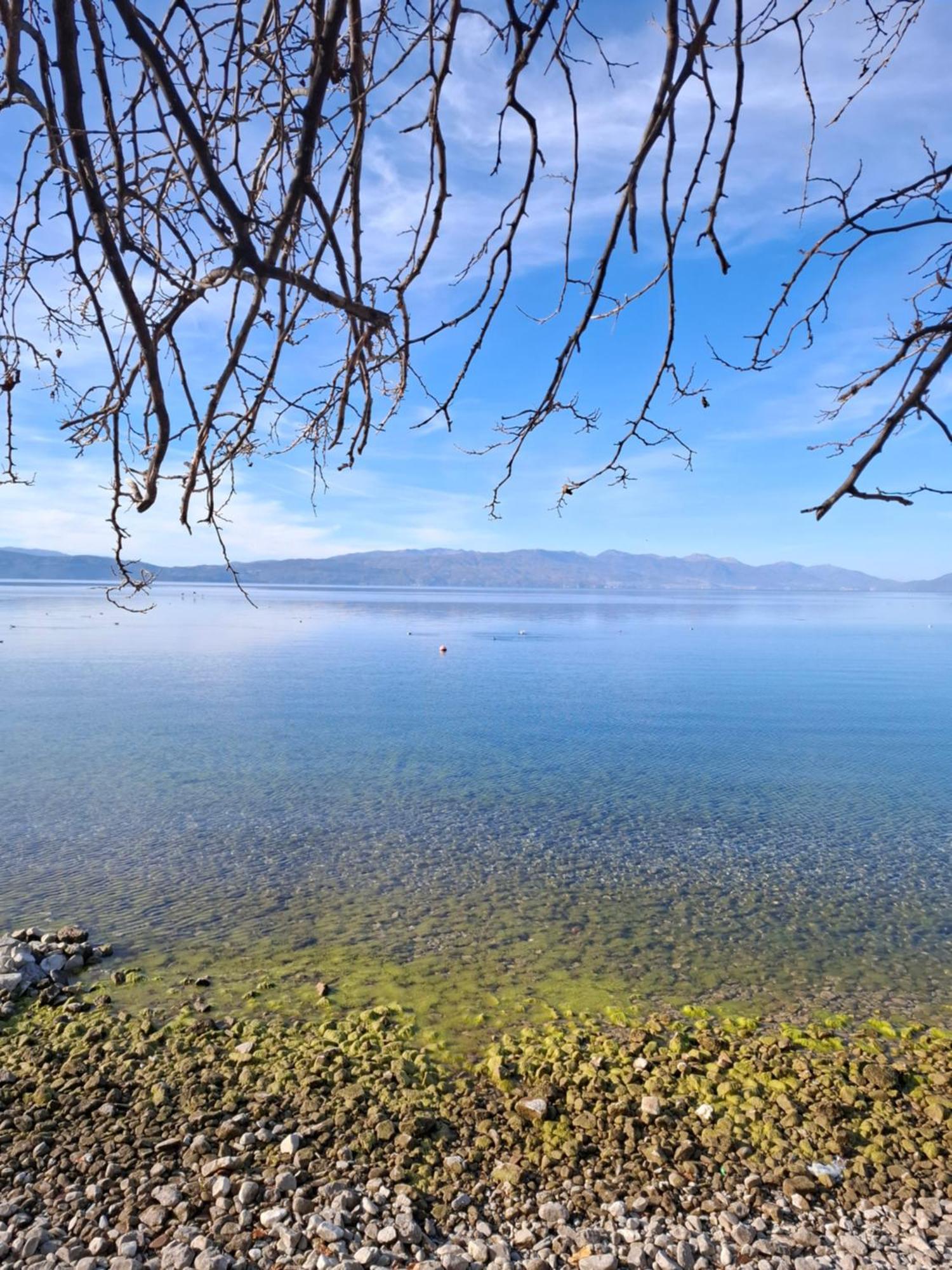 Apartments Villa Boris Ohrid Bagian luar foto