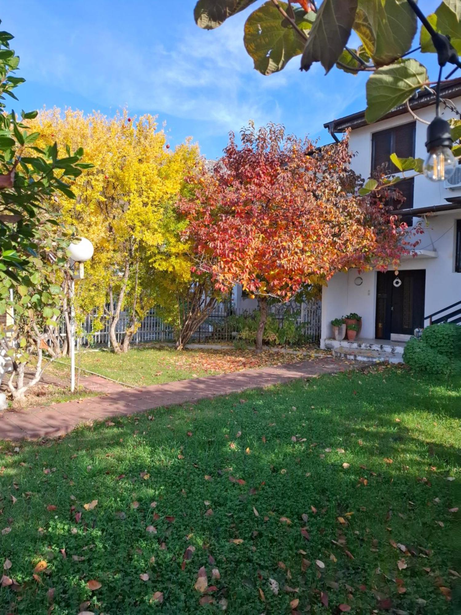 Apartments Villa Boris Ohrid Bagian luar foto