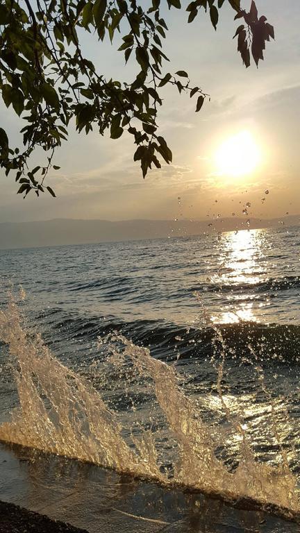 Apartments Villa Boris Ohrid Bagian luar foto