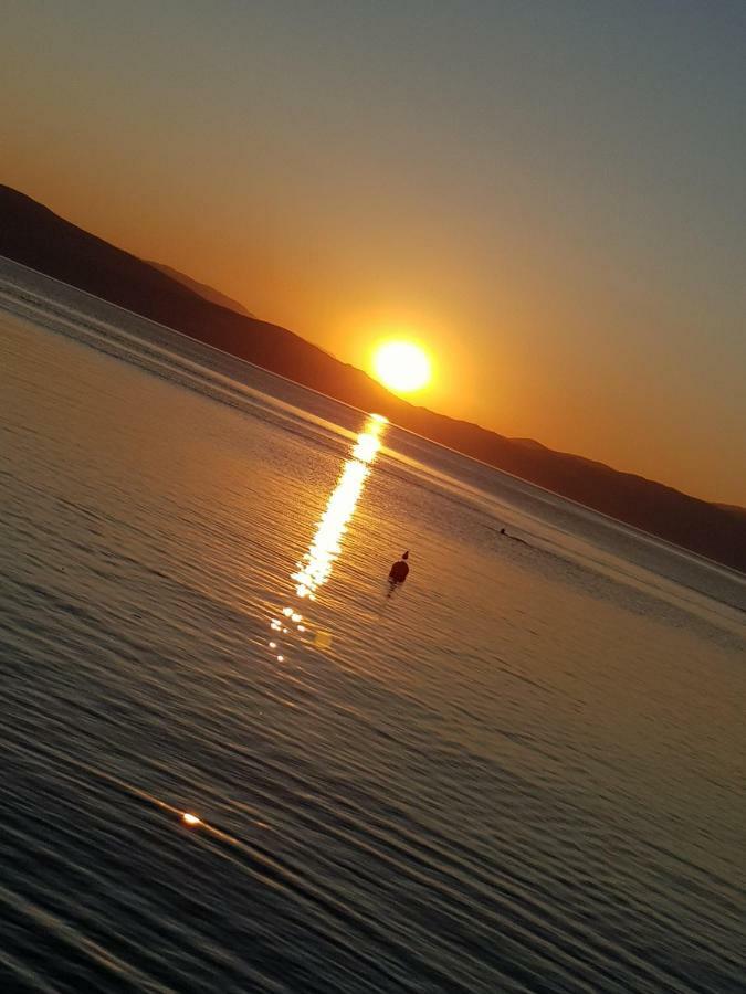 Apartments Villa Boris Ohrid Bagian luar foto