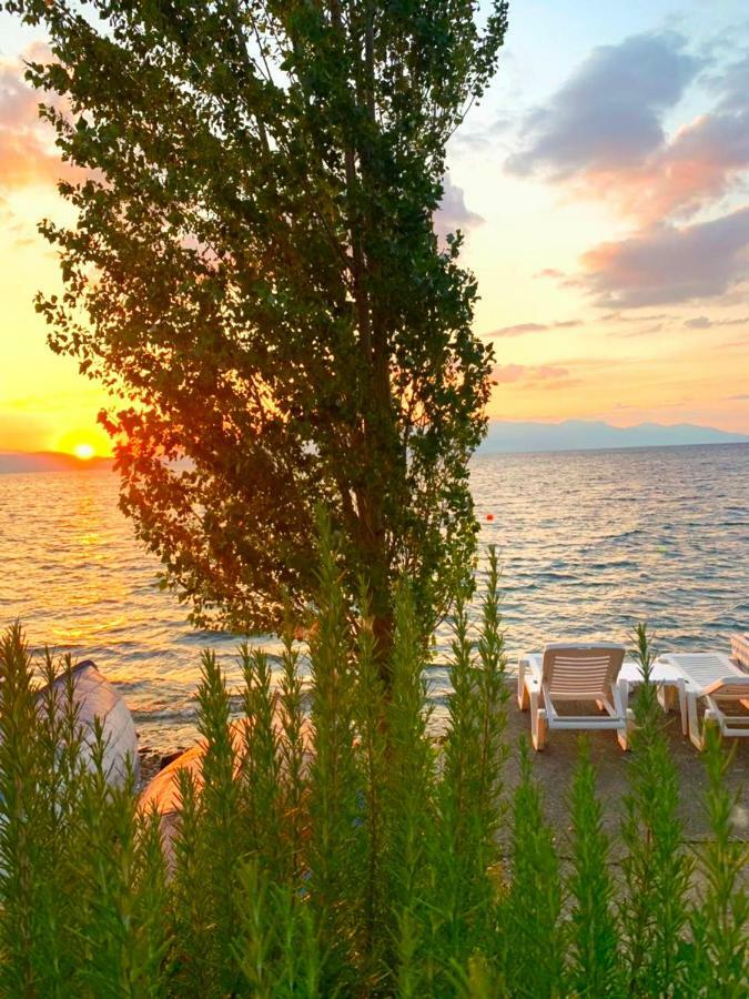 Apartments Villa Boris Ohrid Bagian luar foto