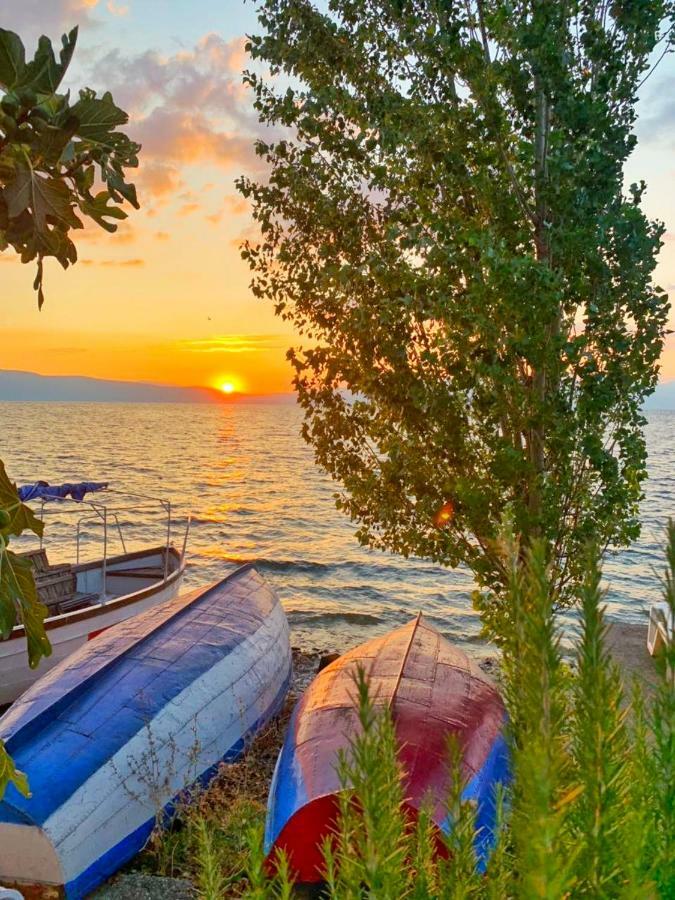Apartments Villa Boris Ohrid Bagian luar foto